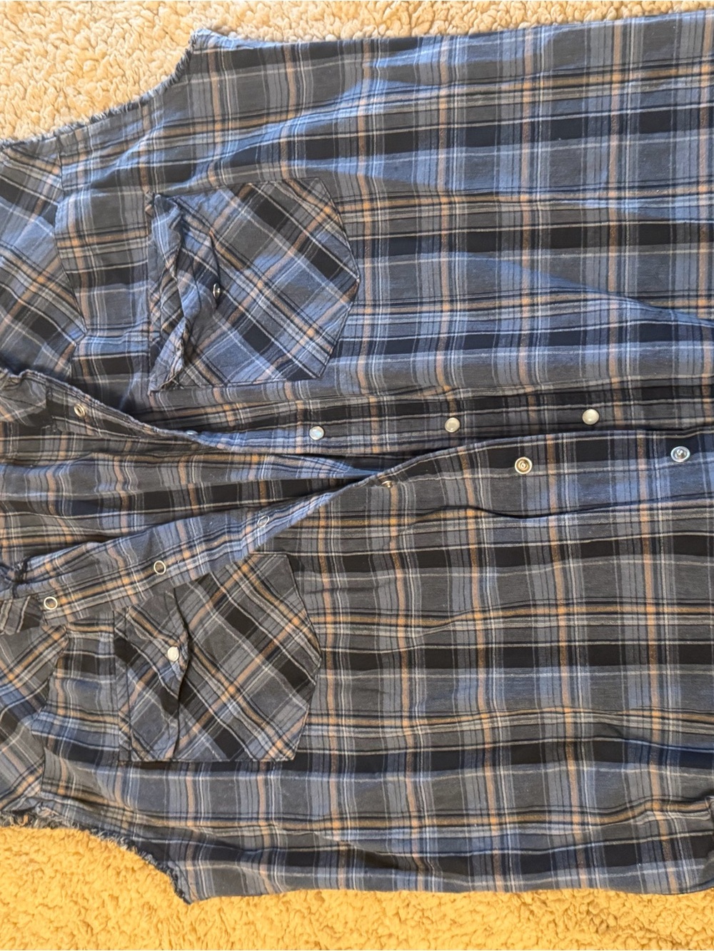 Bit & Bridle Blue and Black Plaid Button-Down Shirt